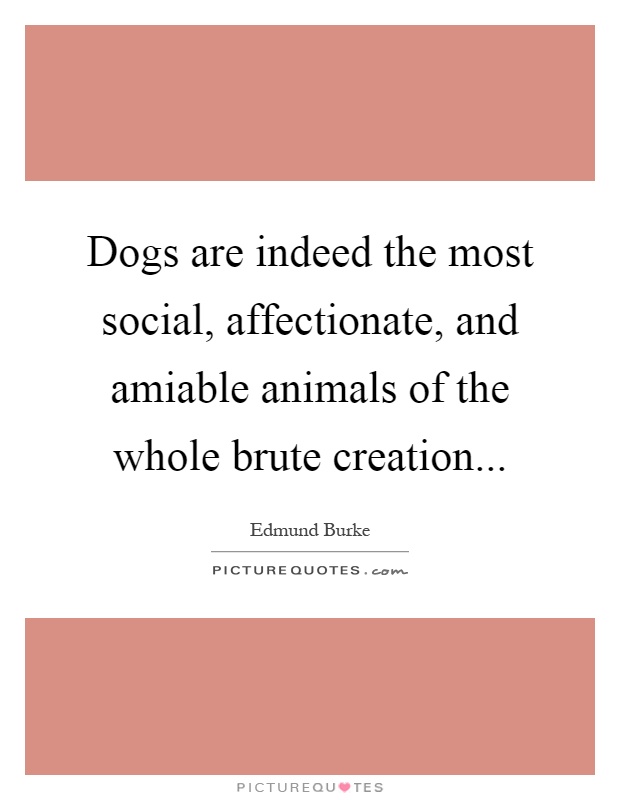 Dogs are indeed the most social, affectionate, and amiable animals of the whole brute creation Picture Quote #1