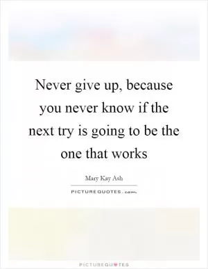 Never give up, because you never know if the next try is going to be the one that works Picture Quote #1