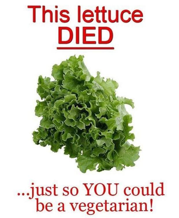 This lettuce died just so YOU could be a vegetarian Picture Quote #1