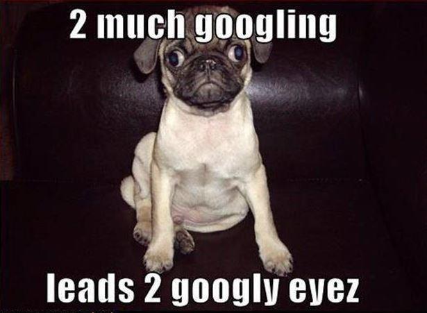 2 much googling leads to googly eyez Picture Quote #1