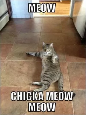 Meow chicka meow meow Picture Quote #1