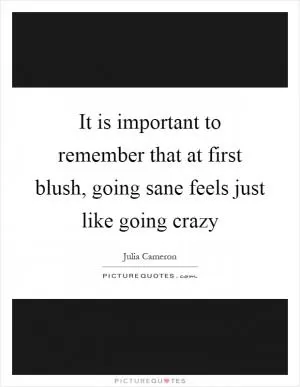 It is important to remember that at first blush, going sane feels just like going crazy Picture Quote #1