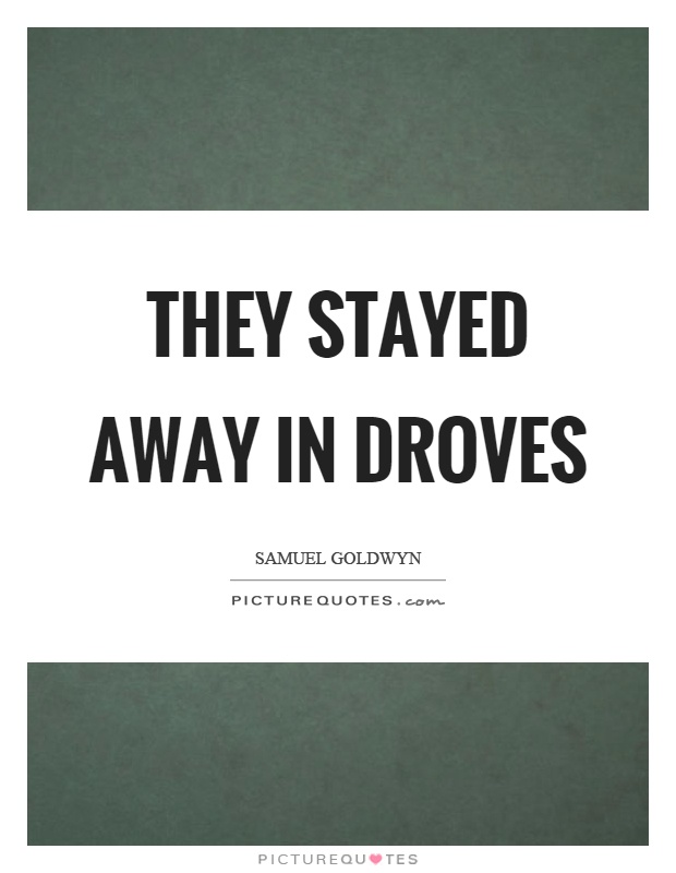 They stayed away in droves Picture Quote #1