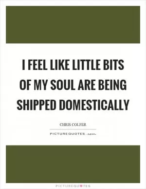 I feel like little bits of my soul are being shipped domestically Picture Quote #1