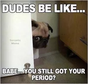 Dudes be like. Babe... you still got your period? Picture Quote #1