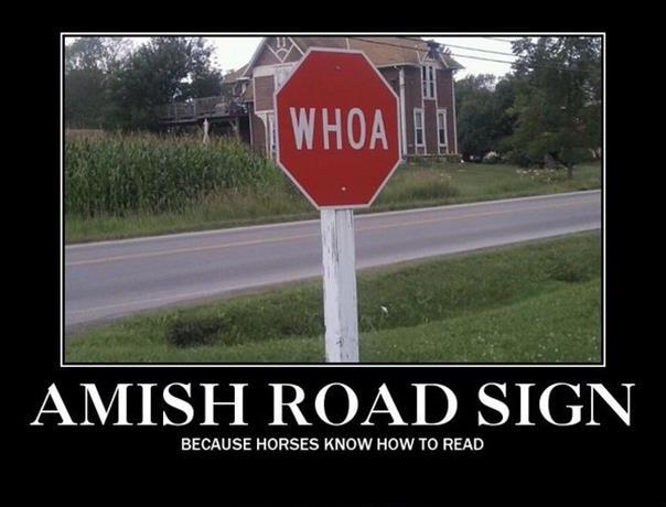 Amish road sign. Because horses know how to read Picture Quote #1