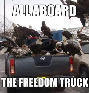 All aboard the freedom truck Picture Quote #1