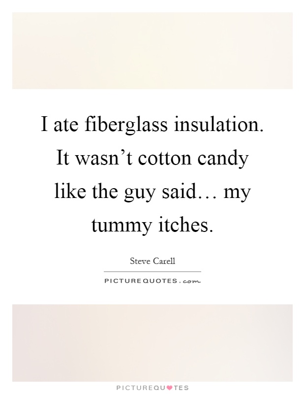 I ate fiberglass insulation. It wasn't cotton candy like the guy said… my tummy itches Picture Quote #1