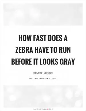 How fast does a zebra have to run before it looks gray Picture Quote #1