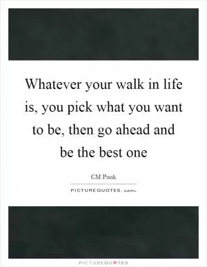 Whatever your walk in life is, you pick what you want to be, then go ahead and be the best one Picture Quote #1