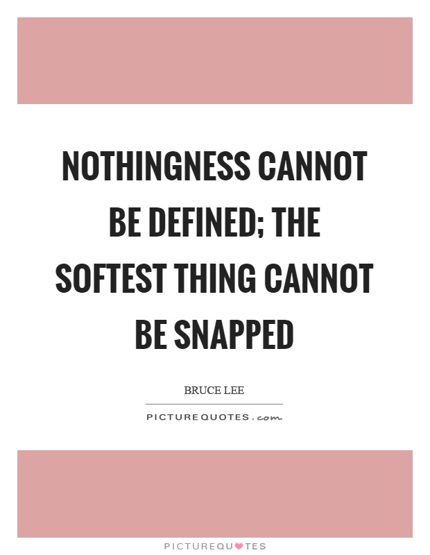 Nothingness cannot be defined; the softest thing cannot be snapped Picture Quote #1