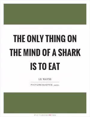 The only thing on the mind of a shark is to eat Picture Quote #1