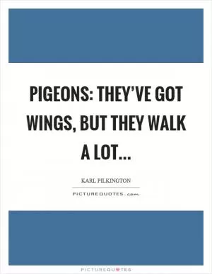Pigeons: They’ve got wings, but they walk a lot Picture Quote #1