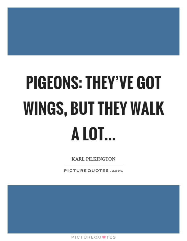 Pigeons: They've got wings, but they walk a lot Picture Quote #1