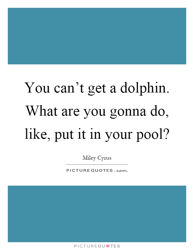 You can't get a dolphin. What are you gonna do, like, put it in your pool? Picture Quote #1