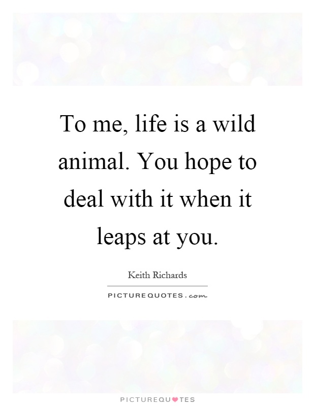 To me, life is a wild animal. You hope to deal with it when it leaps at you Picture Quote #1