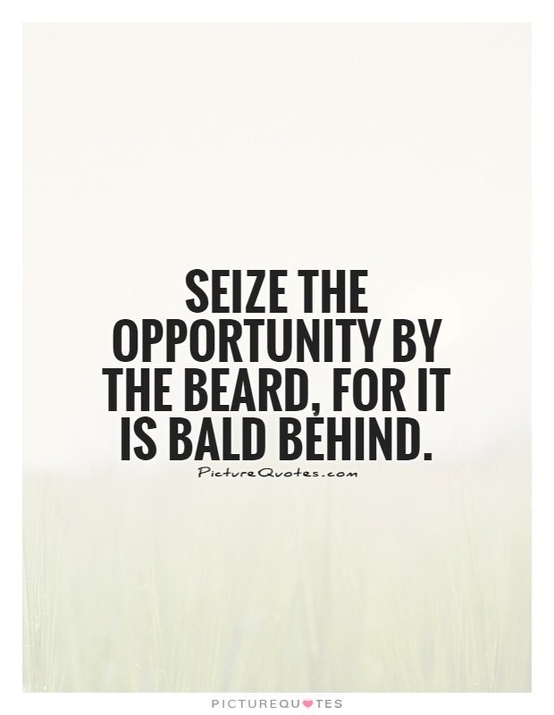 Seize the opportunity by the beard, for it is bald behind Picture Quote #1