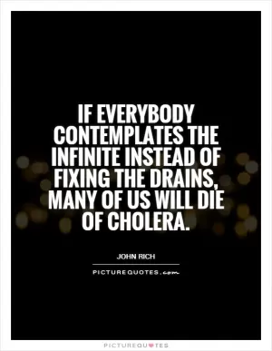 If everybody contemplates the infinite instead of fixing the drains, many of us will die of cholera Picture Quote #1