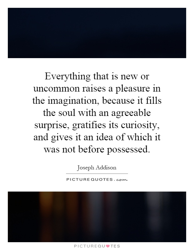 Everything that is new or uncommon raises a pleasure in the imagination, because it fills the soul with an agreeable surprise, gratifies its curiosity, and gives it an idea of which it was not before possessed Picture Quote #1