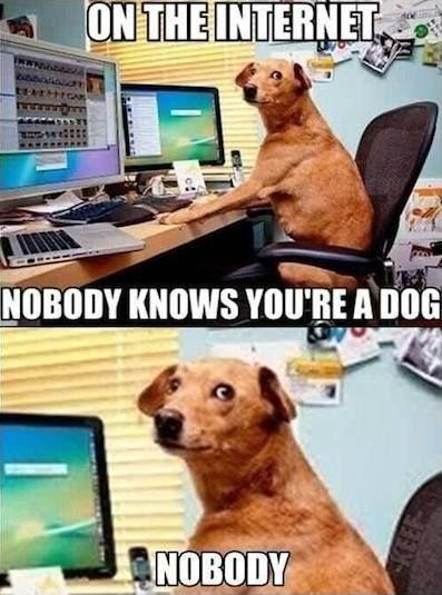 On the Internet, nobody knows you're a dog. Nobody Picture Quote #1