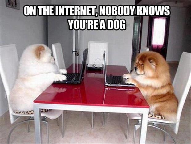 On the Internet, nobody knows you're a dog. Nobody Picture Quote #3