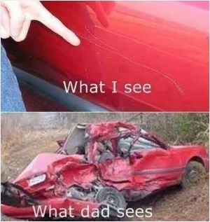 What I see. What dad sees Picture Quote #1