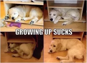 Growing up sucks Picture Quote #1