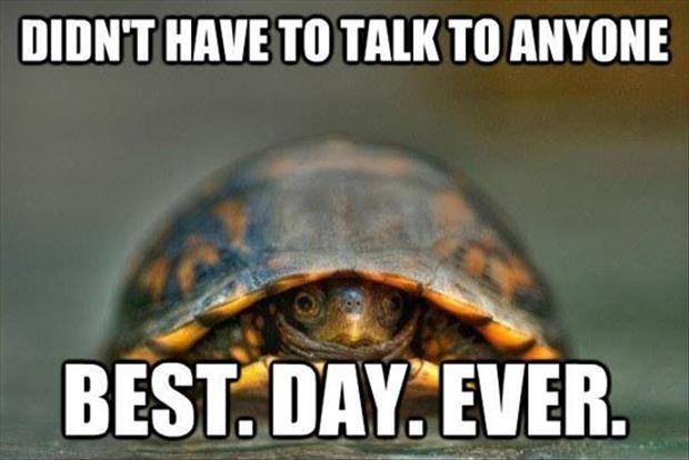Don't have to talk to anyone. Best. Day. Ever Picture Quote #1