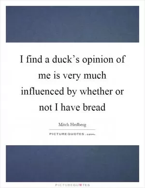 I find a duck’s opinion of me is very much influenced by whether or not I have bread Picture Quote #1