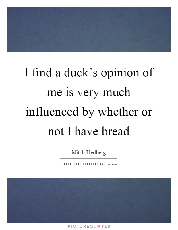 I find a duck's opinion of me is very much influenced by whether or not I have bread Picture Quote #1