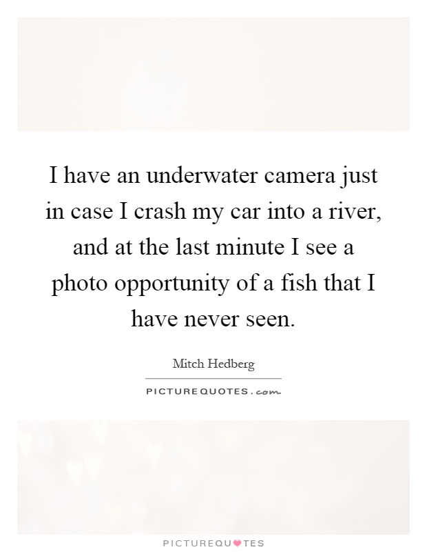 I have an underwater camera just in case I crash my car into a river, and at the last minute I see a photo opportunity of a fish that I have never seen Picture Quote #1