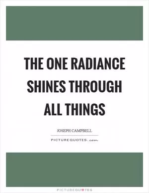 The one radiance shines through all things Picture Quote #1