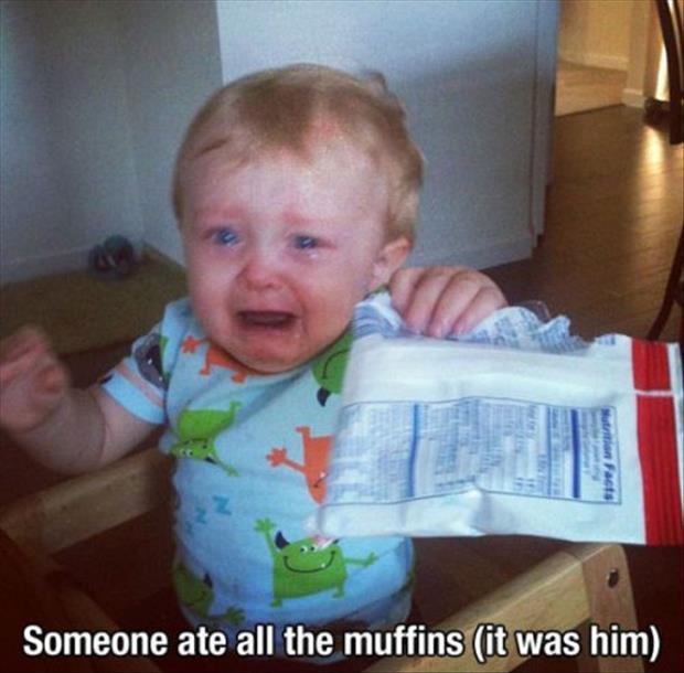 Someone ate all the muffins (it was him) Picture Quote #1