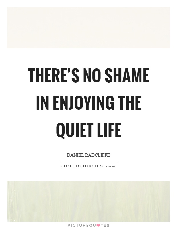 There’s no shame in enjoying the quiet life Picture Quote #1