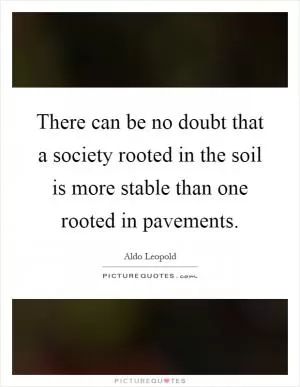 There can be no doubt that a society rooted in the soil is more stable than one rooted in pavements Picture Quote #1
