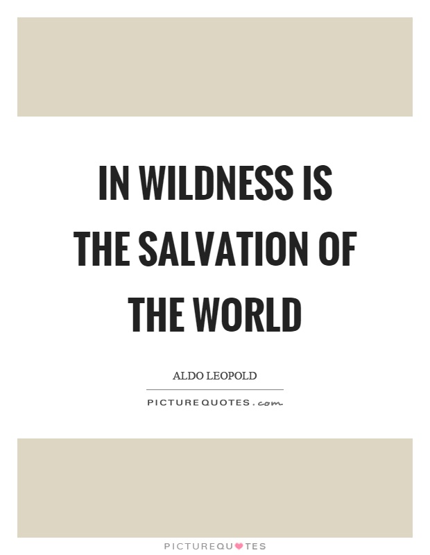 In wildness is the salvation of the world Picture Quote #1