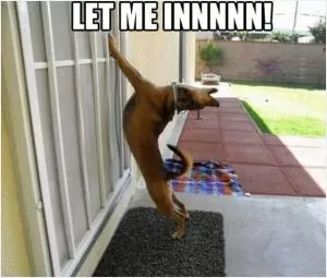 Let me innnnnn! Picture Quote #1