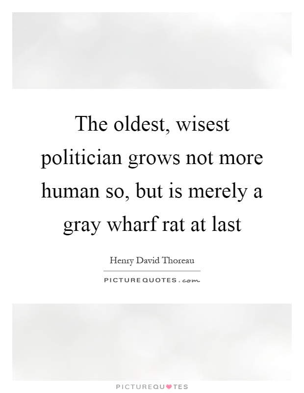 The oldest, wisest politician grows not more human so, but is merely a gray wharf rat at last Picture Quote #1