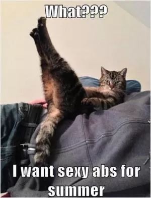 What?? I want sexy abs for summer Picture Quote #1