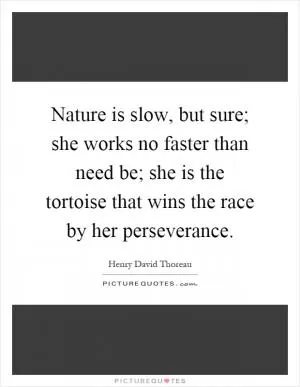 Nature is slow, but sure; she works no faster than need be; she is the tortoise that wins the race by her perseverance Picture Quote #1