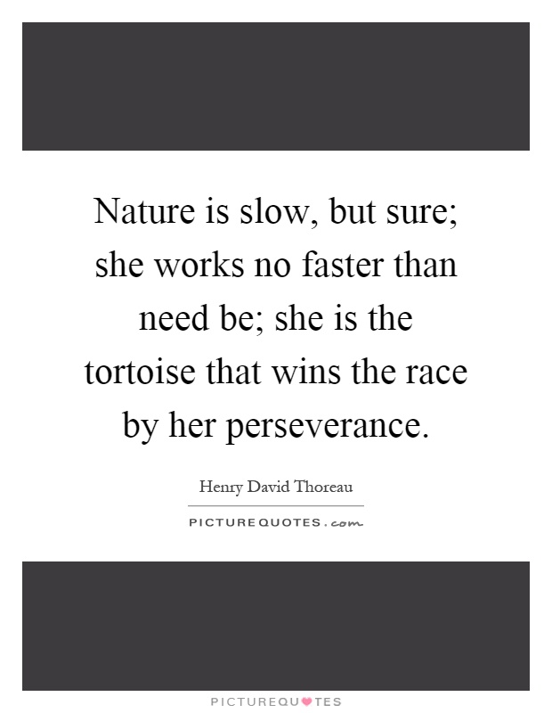 Nature is slow, but sure; she works no faster than need be; she is the tortoise that wins the race by her perseverance Picture Quote #1