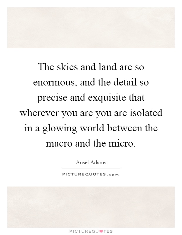 The skies and land are so enormous, and the detail so precise and exquisite that wherever you are you are isolated in a glowing world between the macro and the micro Picture Quote #1