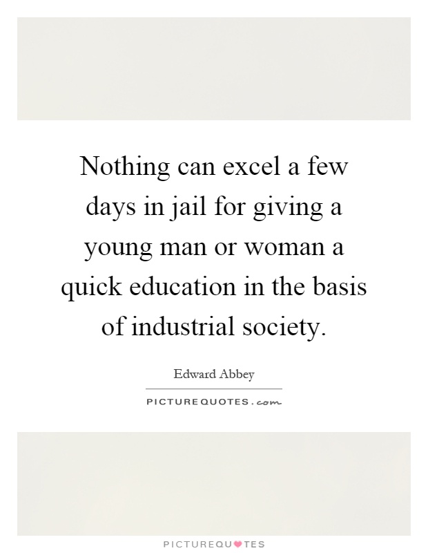 Nothing can excel a few days in jail for giving a young man or woman a quick education in the basis of industrial society Picture Quote #1
