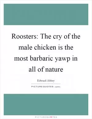 Roosters: The cry of the male chicken is the most barbaric yawp in all of nature Picture Quote #1