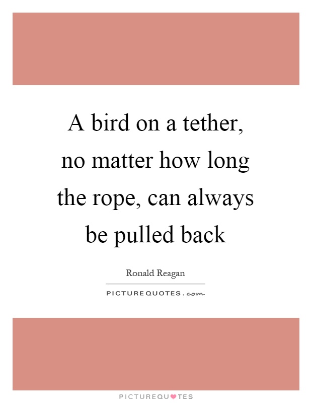A bird on a tether, no matter how long the rope, can always be pulled back Picture Quote #1