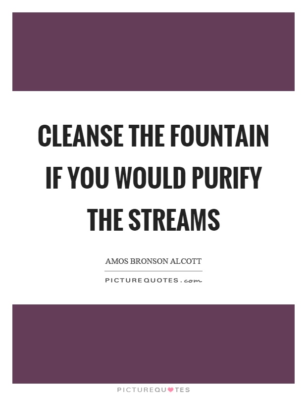 Cleanse the fountain if you would purify the streams Picture Quote #1