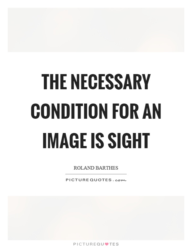 The necessary condition for an image is sight Picture Quote #1