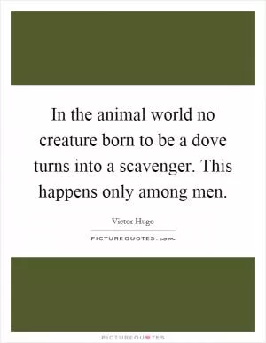 In the animal world no creature born to be a dove turns into a scavenger. This happens only among men Picture Quote #1