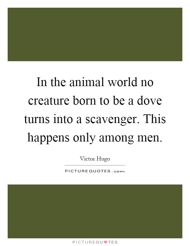 In the animal world no creature born to be a dove turns into a scavenger. This happens only among men Picture Quote #1