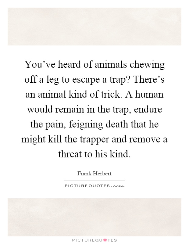 You've heard of animals chewing off a leg to escape a trap? There's an animal kind of trick. A human would remain in the trap, endure the pain, feigning death that he might kill the trapper and remove a threat to his kind Picture Quote #1